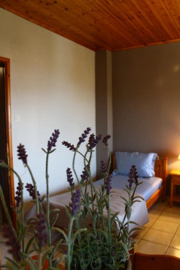 Hotel Defkalion Golos Dış mekan fotoğraf